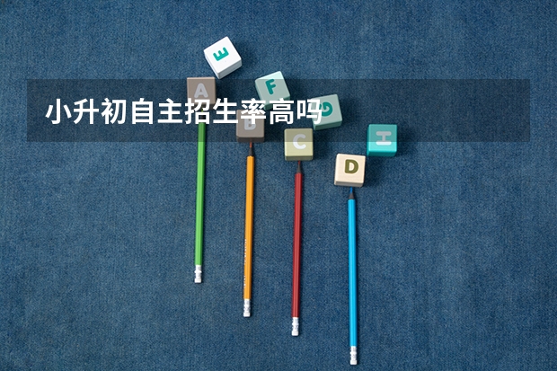 小升初自主招生率高吗