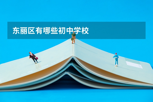 东丽区有哪些初中学校