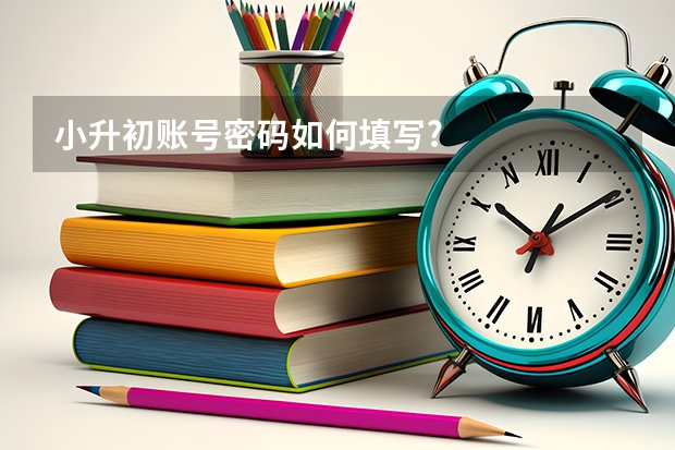 小升初账号密码如何填写?