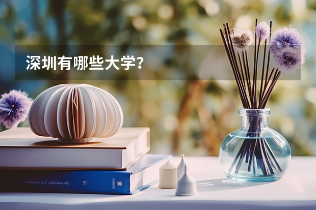 深圳有哪些大学？