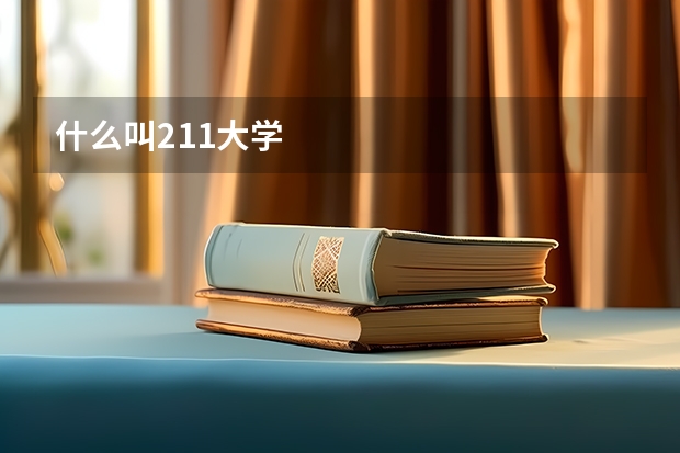 什么叫211大学