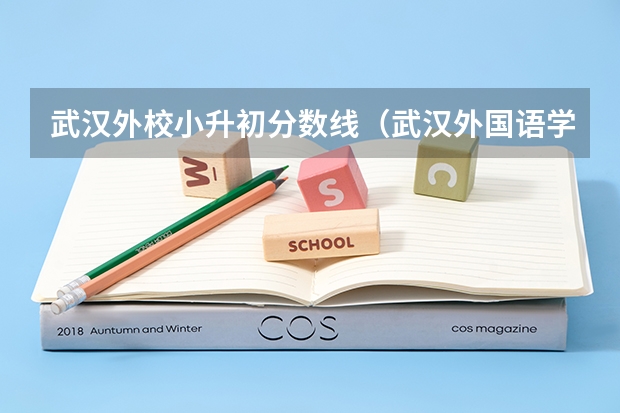 武汉外校小升初分数线（武汉外国语学校小升初分数线）