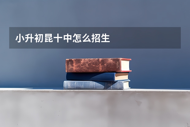 小升初昆十中怎么招生