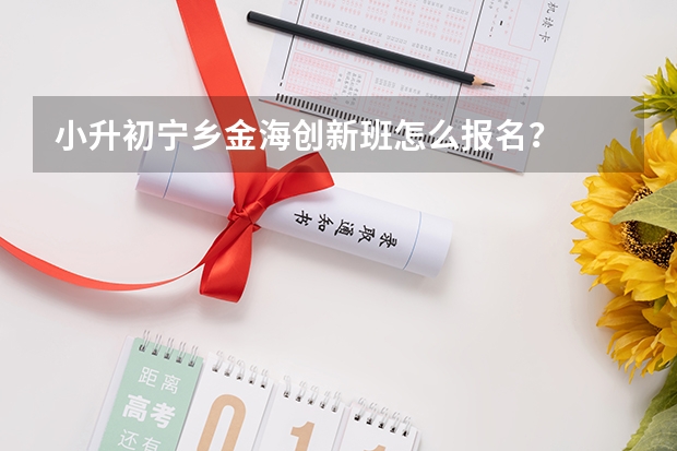 小升初宁乡金海创新班怎么报名？