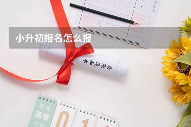小升初报名怎么报