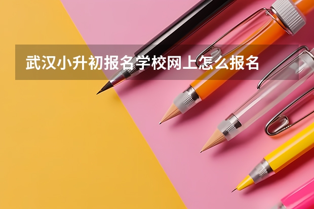 武汉小升初报名学校网上怎么报名