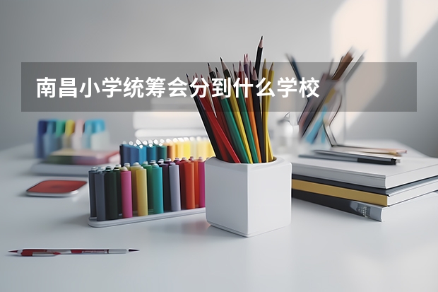 南昌小学统筹会分到什么学校