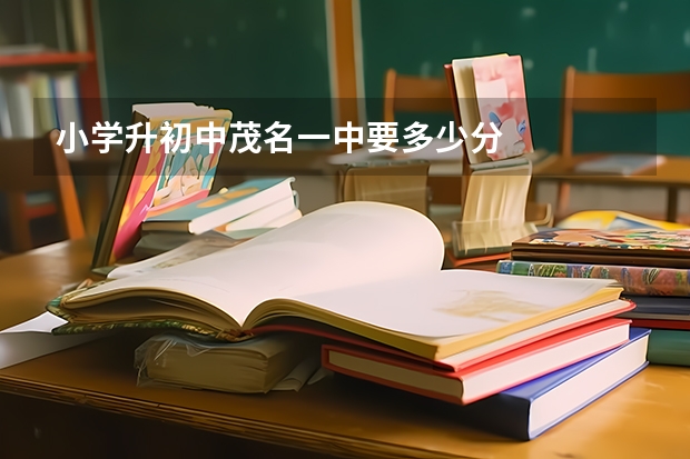 小学升初中茂名一中要多少分