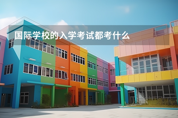 国际学校的入学考试都考什么