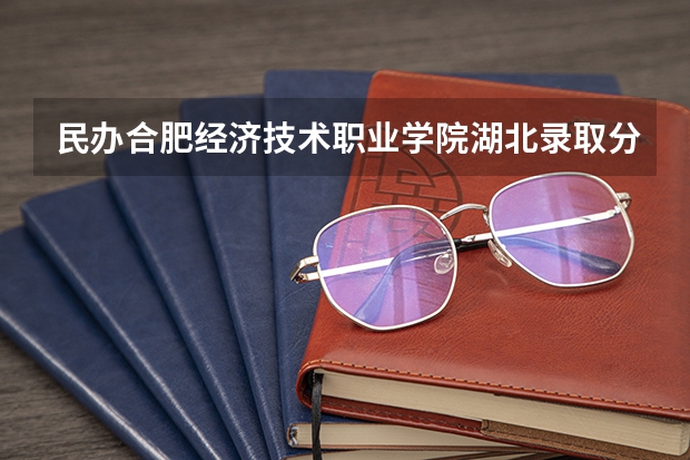 民办合肥经济技术职业学院湖北录取分数线是多少 民办合肥经济技术职业学院湖北招生人数