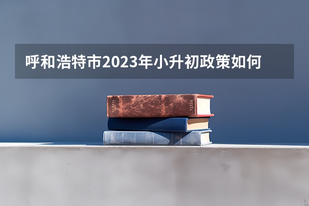 呼和浩特市2023年小升初政策如何？