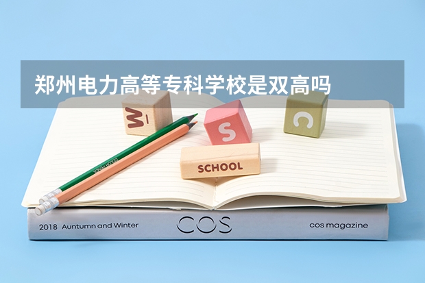 郑州电力高等专科学校是双高吗