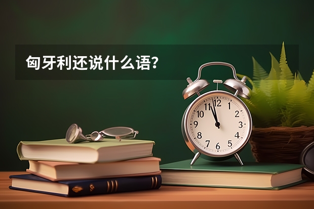 匈牙利还说什么语？