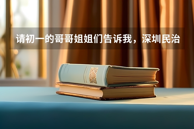 请初一的哥哥姐姐们告诉我，深圳民治中学入学考试语数英的考试内容大概是什么，我好针对复习？