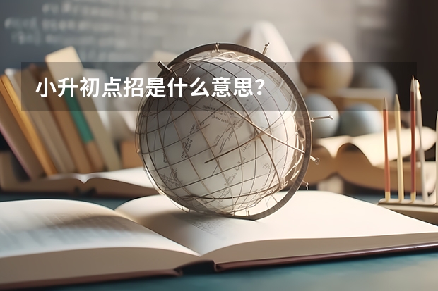 小升初点招是什么意思？