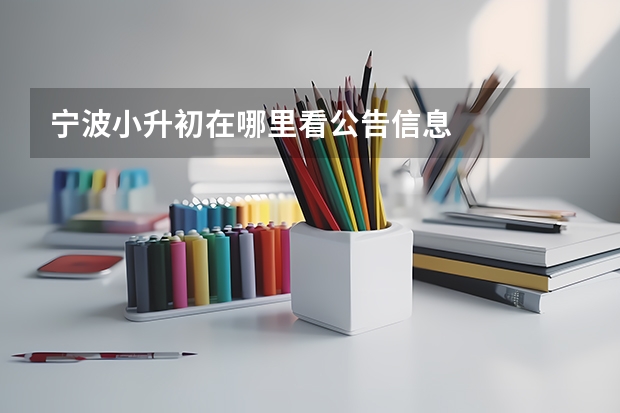 宁波小升初在哪里看公告信息