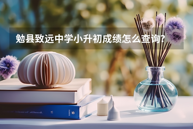 勉县致远中学小升初成绩怎么查询？