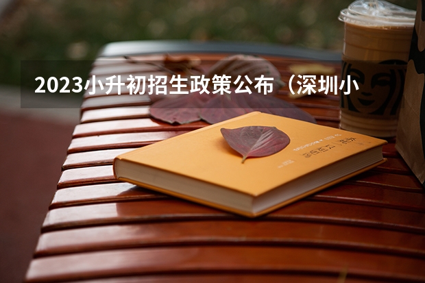 2023小升初招生政策公布（深圳小升初最新政策）