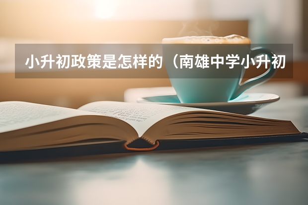 小升初政策是怎样的（南雄中学小升初录取条件）