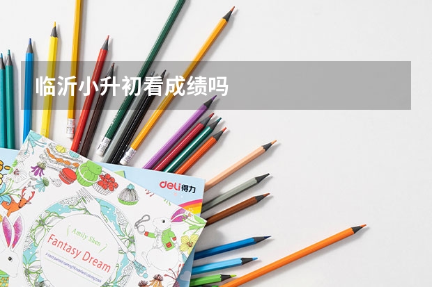临沂小升初看成绩吗