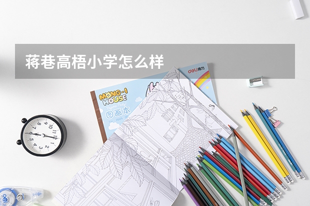 蒋巷高梧小学怎么样