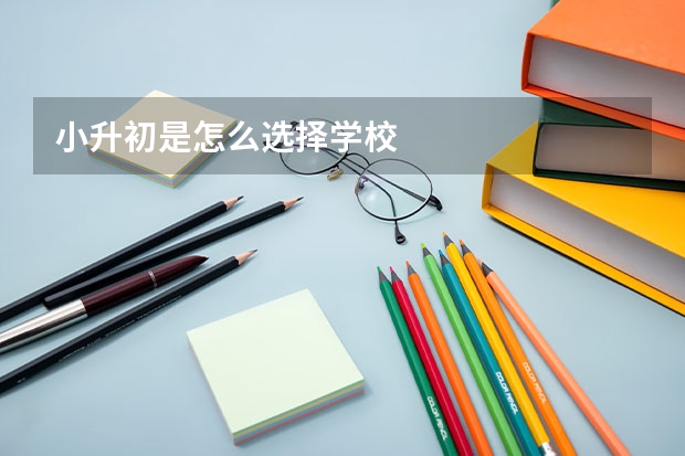 小升初是怎么选择学校