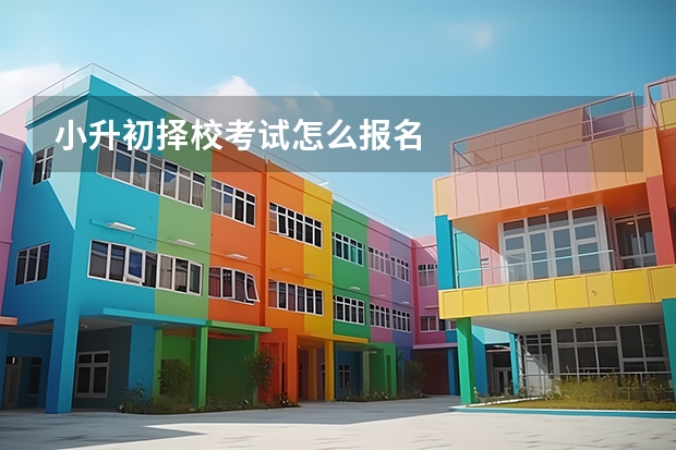 小升初择校考试怎么报名