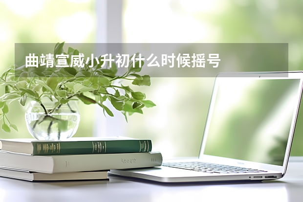 曲靖宣威小升初什么时候摇号