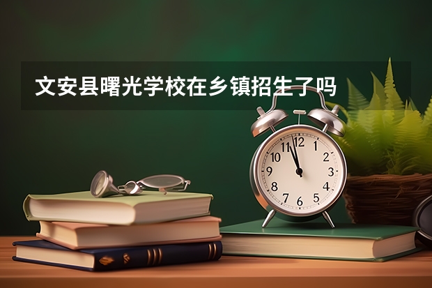 文安县曙光学校在乡镇招生了吗