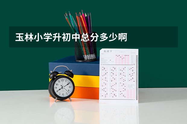 玉林小学升初中总分多少啊