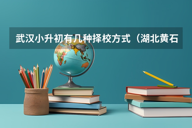 武汉小升初有几种择校方式（湖北黄石市小升初招生政策通告）