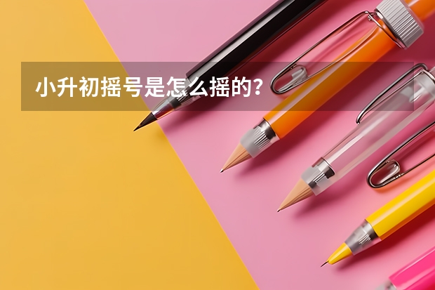 小升初摇号是怎么摇的？