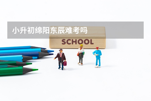 小升初绵阳东辰难考吗