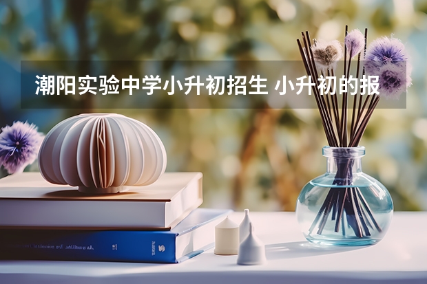 潮阳实验中学小升初招生 小升初的报名程序是怎样的？
