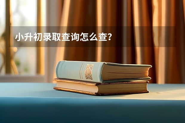 小升初录取查询怎么查？
