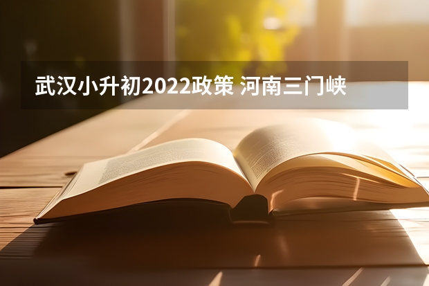 武汉小升初2022政策 河南三门峡市主城区2022年小升初阶段学校招生工作方案