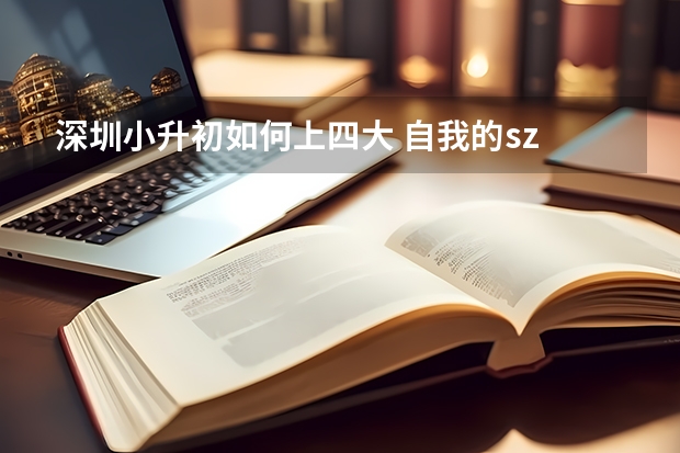 深圳小升初如何上四大 自我的sz