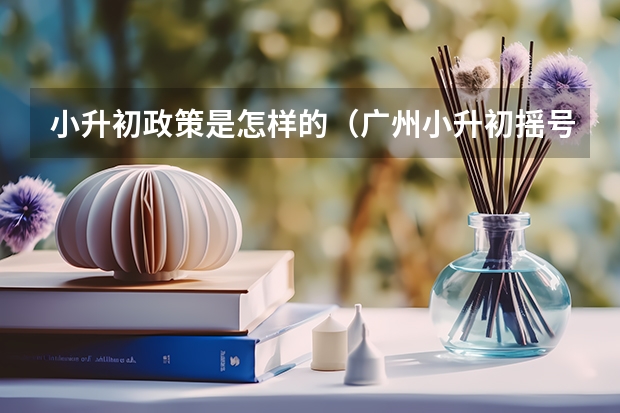 小升初政策是怎样的（广州小升初摇号2023年政策）