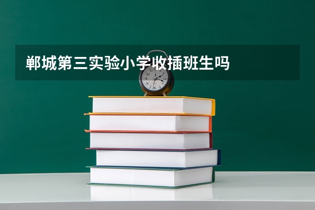 郸城第三实验小学收插班生吗
