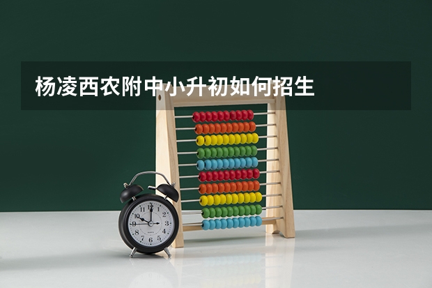 杨凌西农附中小升初如何招生