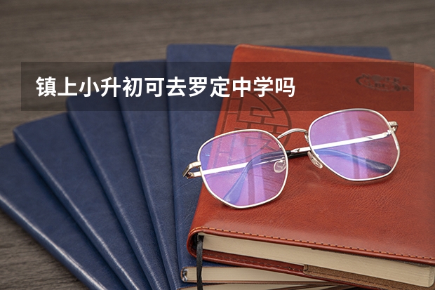 镇上小升初可去罗定中学吗