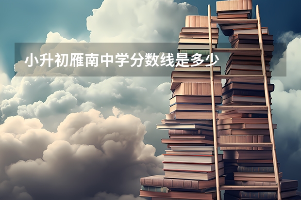 小升初雁南中学分数线是多少