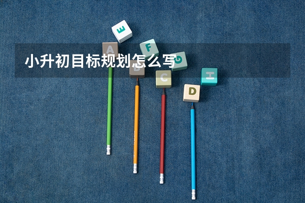 小升初目标规划怎么写