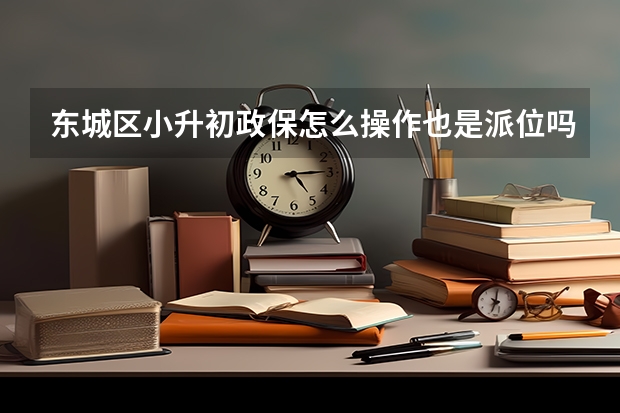 东城区小升初政保怎么操作也是派位吗