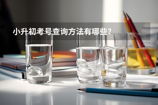 小升初考号查询方法有哪些？