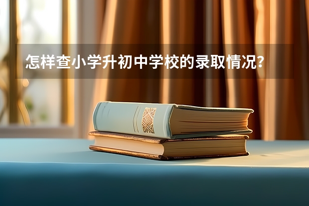 怎样查小学升初中学校的录取情况？ 林虑小升初怎样招生