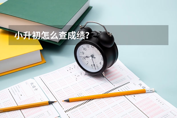 小升初怎么查成绩？
