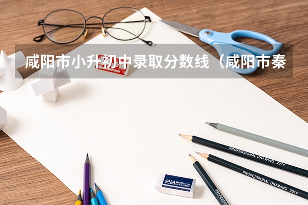 咸阳市小升初中录取分数线（咸阳市秦都区启迪中学招生报名网址）