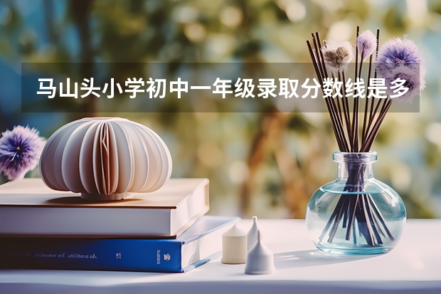 马山头小学初中一年级录取分数线是多少