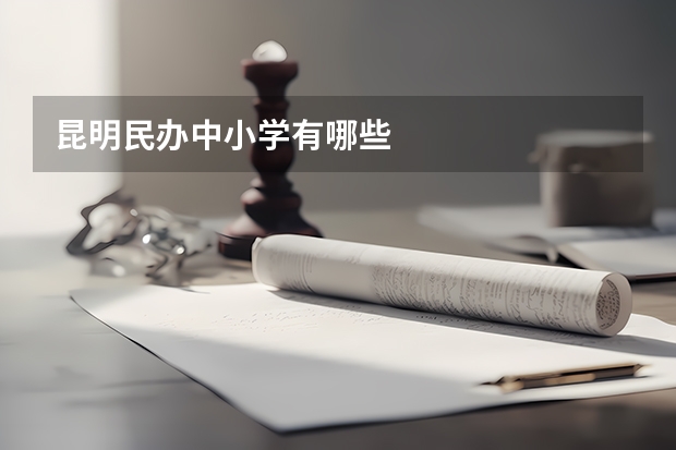 昆明民办中小学有哪些